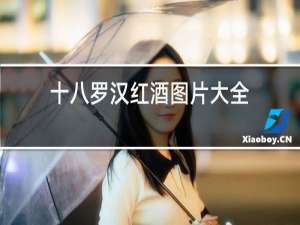 十八罗汉红酒图片大全
