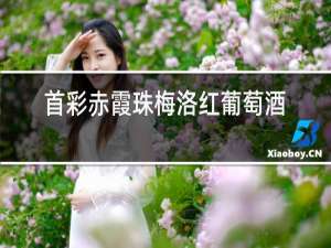 首彩赤霞珠梅洛红葡萄酒价格