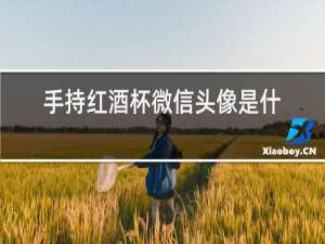 手持红酒杯微信头像是什么样的人