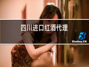 四川进口红酒代理