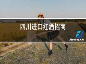 四川进口红酒招商