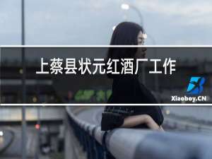 上蔡县状元红酒厂工作