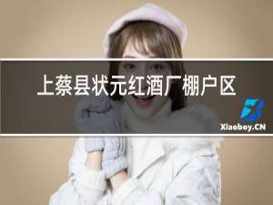 上蔡县状元红酒厂棚户区改造