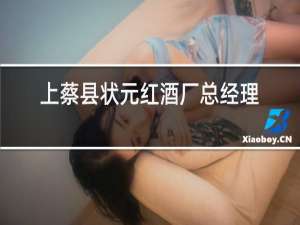 上蔡县状元红酒厂总经理是谁