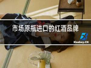 市场原瓶进口的红酒品牌