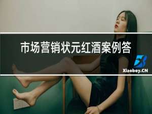 市场营销状元红酒案例答案