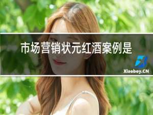 市场营销状元红酒案例是微观还是宏观