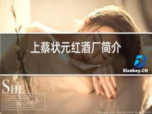 上蔡状元红酒厂简介