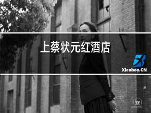 上蔡状元红酒店
