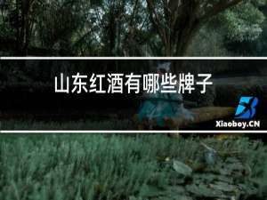 山东红酒有哪些牌子