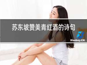 苏东坡赞美青红酒的诗句