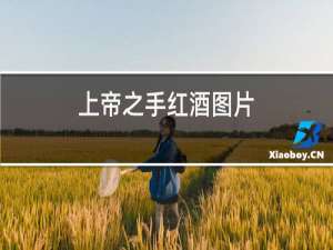 上帝之手红酒图片