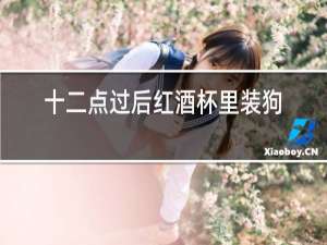 十二点过后红酒杯里装狗血