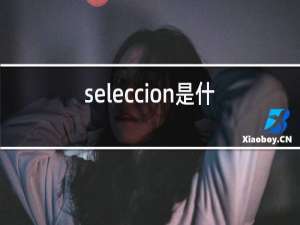 seleccion是什么红酒