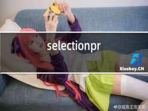 selectionprestige红酒
