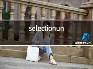 selectionunique红酒