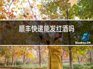 顺丰快递能发红酒吗