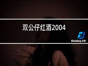 双公仔红酒2004