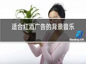 适合红酒广告的背景音乐