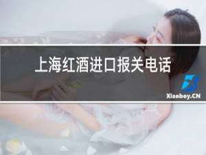 上海红酒进口报关电话