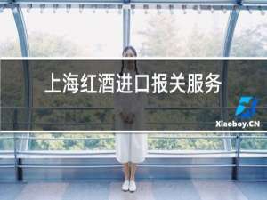 上海红酒进口报关服务