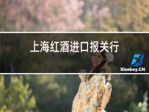 上海红酒进口报关行