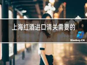 上海红酒进口清关需要的资料