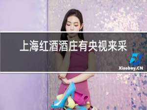 上海红酒酒庄有央视来采访过