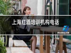 上海红酒培训机构电话