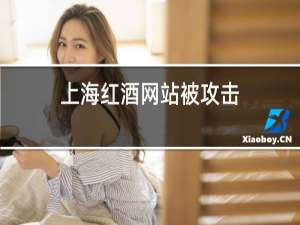 上海红酒网站被攻击