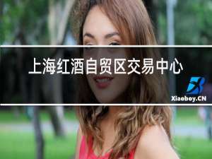 上海红酒自贸区交易中心可以挣钱吗