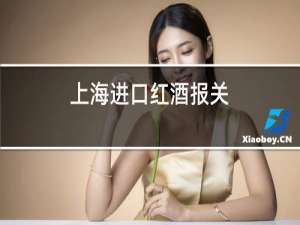 上海进口红酒报关