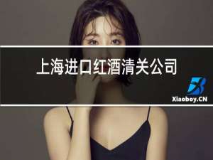 上海进口红酒清关公司