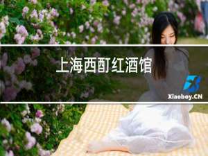 上海西酊红酒馆
