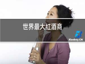 世界最大红酒商