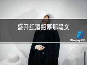 盛开红酒瓶塞那段文
