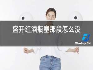 盛开红酒瓶塞那段怎么没在了