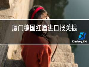 厦门德国红酒进口报关提供资料