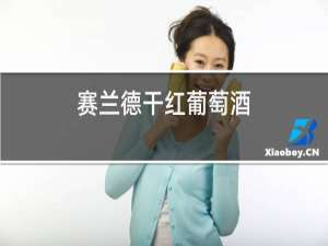 赛兰德干红葡萄酒