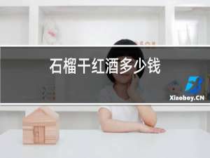 石榴干红酒多少钱