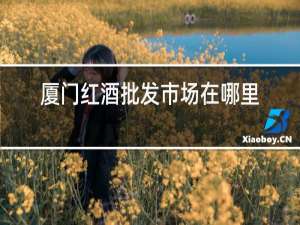 厦门红酒批发市场在哪里