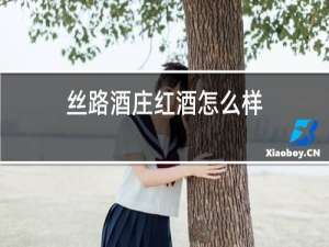 丝路酒庄红酒怎么样