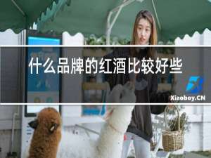 什么品牌的红酒比较好些