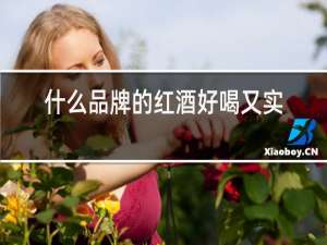 什么品牌的红酒好喝又实惠