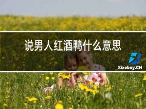 说男人红酒鸭什么意思