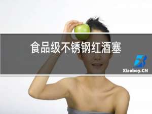 食品级不锈钢红酒塞