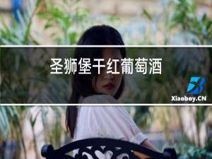 圣狮堡干红葡萄酒