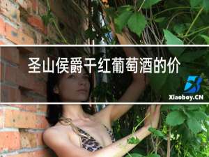 圣山侯爵干红葡萄酒的价格