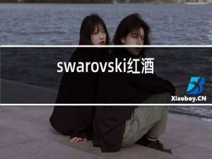 swarovski红酒杯礼盒