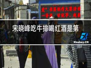 宋晓峰吃牛排喝红酒是第几集
